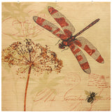 Red Lantern Bamboo Window Shade Blind - Dragonfly 72" Wide Red Lantern