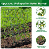 65"×50" Cucumber Trellis for Raised Bed,Tall Metal Arch Garden Trellis for Climbing Plants Outdoor,Vegetables,Plant Support Peas,Fruit,Flower,Grape,Tomato, Bean CFKEMZY