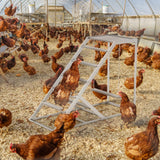 Chicken Coop, Chicken Perches with Swing, Chicken Roosting Bars, Chicken Activity Play Toys, Wooden Chicken Ladder for Pet's Healthy & Happy, Suitable for Backyard Farm Nandae