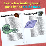 DANCING BEAR Fossil Dig Kit, Excavate 15 Prehistoric Fossils Including Real Dinosaur Bones and Shark Teeth, Paleontology STEM Education for Kids, Fun Science Activity Gift Sets for Girls and Boys DANCING BEAR