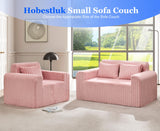 Hobestluk Couch Sofa 2-Seater Foam Sofa Loveseat for Small Spaces Comfy Sofas with Removable Cover Furry Couch with Pillows for Living Room, Bedroom, Apartment, Office (Pink, Loveseat) Hobestluk