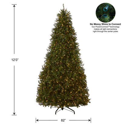 National Tree Company Pre-Lit Artificial Full Christmas Tree, Green, Dunhill Fir, Dual Color LED Lights, Includes PowerConnect and Stand, 12 Feet