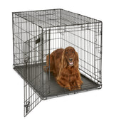 MidWest Homes for Pets Newly Enhanced Single Door iCrate Dog Crate, Includes Leak-Proof Pan, Floor Protecting Feet, Divider Panel & New Patented Features MidWest Homes for Pets