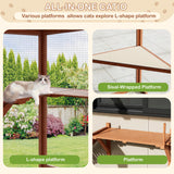 Large Walk-in Catio Wooden cat Houses for Multiple Outdoor Cats, Outdoor cat Enclosure with 4 Bridges & Transparent PVC Roof & sisal Scratcher, Kitty cat Condo Shelters (Orange) QUYZE