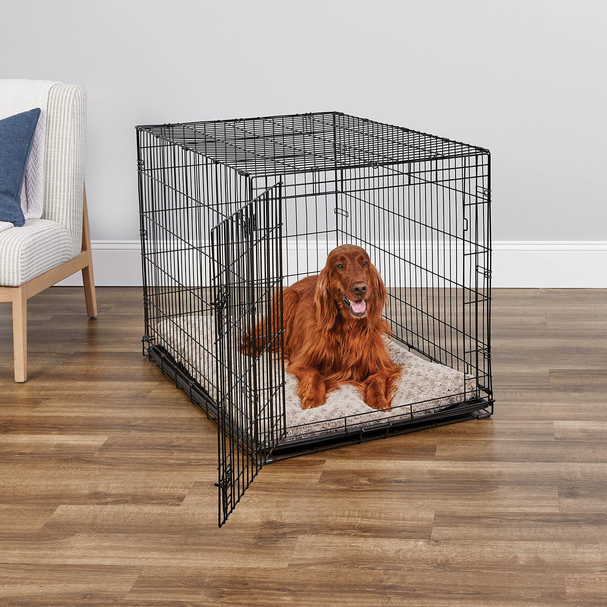 MidWest Homes for Pets Newly Enhanced Single Door iCrate Dog Crate, Includes Leak-Proof Pan, Floor Protecting Feet, Divider Panel & New Patented Features MidWest Homes for Pets