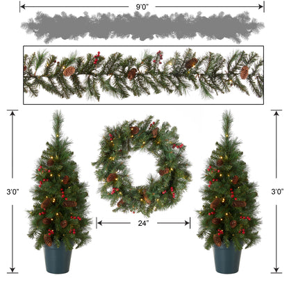 National Tree Company National Pre-lit White LED Lights Holiday Christmas 4-Piece Set | Garland, Wreath and Set of 2 Entrance Trees, No Size, Green