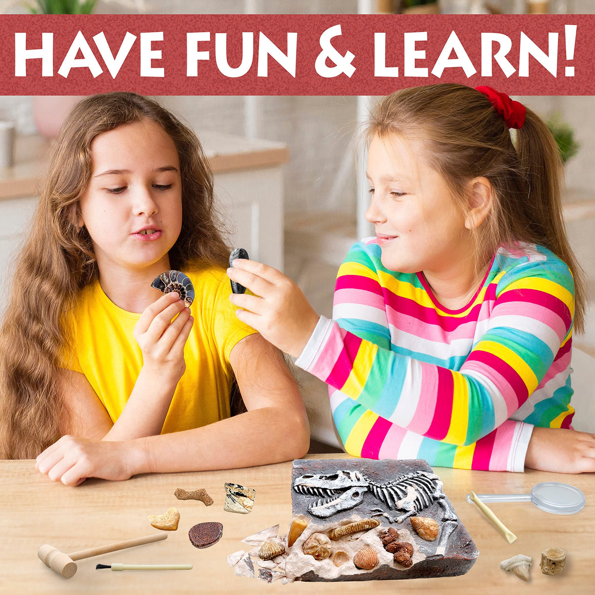 DANCING BEAR Fossil Dig Kit, Excavate 15 Prehistoric Fossils Including Real Dinosaur Bones and Shark Teeth, Paleontology STEM Education for Kids, Fun Science Activity Gift Sets for Girls and Boys DANCING BEAR