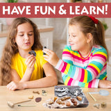 DANCING BEAR Fossil Dig Kit, Excavate 15 Prehistoric Fossils Including Real Dinosaur Bones and Shark Teeth, Paleontology STEM Education for Kids, Fun Science Activity Gift Sets for Girls and Boys DANCING BEAR