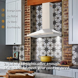 FIREGAS Wall Mount Range Hood 30 inch, 400 CFM Stainless Steel Stove Vent Hood with 3 Speed Exhaust Fan, Ducted/Ductless Convertible Duct kitchen hood, LED Lights, Push Button, Charcoal Filters FIREGAS