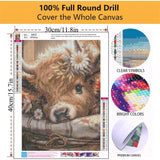 Mowana 2 Pack Cow Diamond Art Kits for Adults – Cow Diamond Painting Kits for Beginners, 5D DIY Farm Animals Highland Cow Rhinestone Art, Gem Art Craft for Home Decor & Farmhouse Wall Art 12x16 inch Mowana