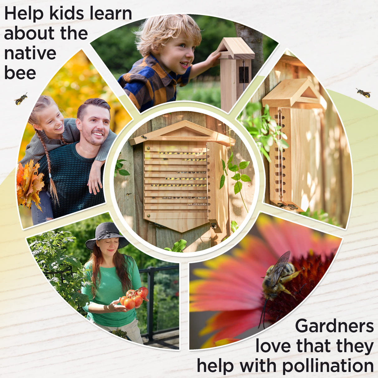 Rivajam Native Bee Observatory | Mason Bee Houses for Pollinating Bees | Pollinator Bee Houses for The Garden Lover | Leaf cutter Bee Home | Unique Gardening Gifts Rivajam