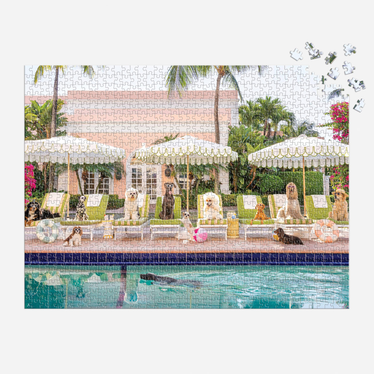 Galison Gray Malin Palm Beach – 1000 Piece Book Box Puzzle with Glamorous Palm Beach Dogs Photography Packaged in Magnetic Keepsake Book Sized Box Galison