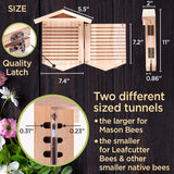 Rivajam Native Bee Observatory | Mason Bee Houses for Pollinating Bees | Pollinator Bee Houses for The Garden Lover | Leaf cutter Bee Home | Unique Gardening Gifts Rivajam
