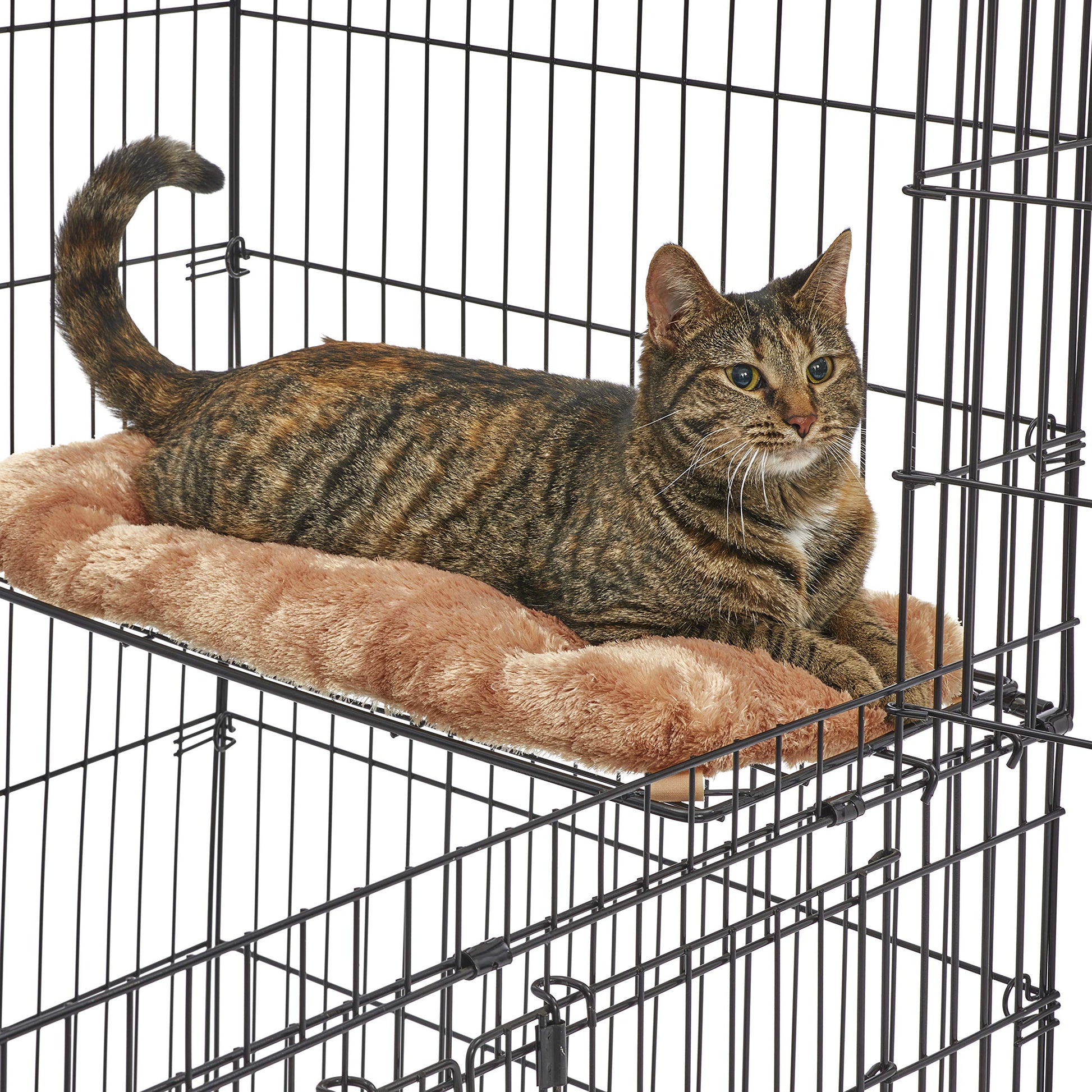 MidWest Homes for Pets Cat Playpen / Cat Cage Includes 3 Adjustable Resting Platforms, Removable Leak-Proof Pan, Easy 2-Door Top / Bottom Access & 4-locking Wheel Casters, 36"L x 23.5"W x 50. - WoodArtSupply