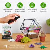 Creations by Nathalie – DIY Large Terrarium Starter Kit with Soil, Moss, Pebbles, Healing Crystal, Tools & Supplies – Terrarium Kit for Adults & Kids, Handcrafted in USA Creations by Nathalie