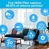 Filtrete F1 Room Air Purifier Filter, True HEPA Premium Allergen, Bacteria, & Virus, 12 in. x 6.75 in., 2-Pack, Works with Devices: FAP-C01BA-G1, FAP-T02WA-G1 and FAP-ST02N Filtrete