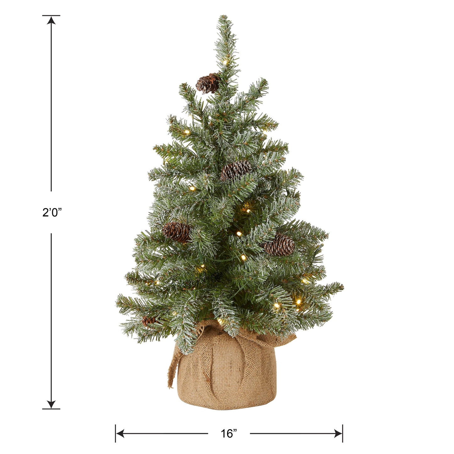 National Tree Company Pre-lit Artificial Mini Christmas Tree | Includes Small White LED Lights, and Cloth Bag Base | Snowy Concolor Fir - 2 ft