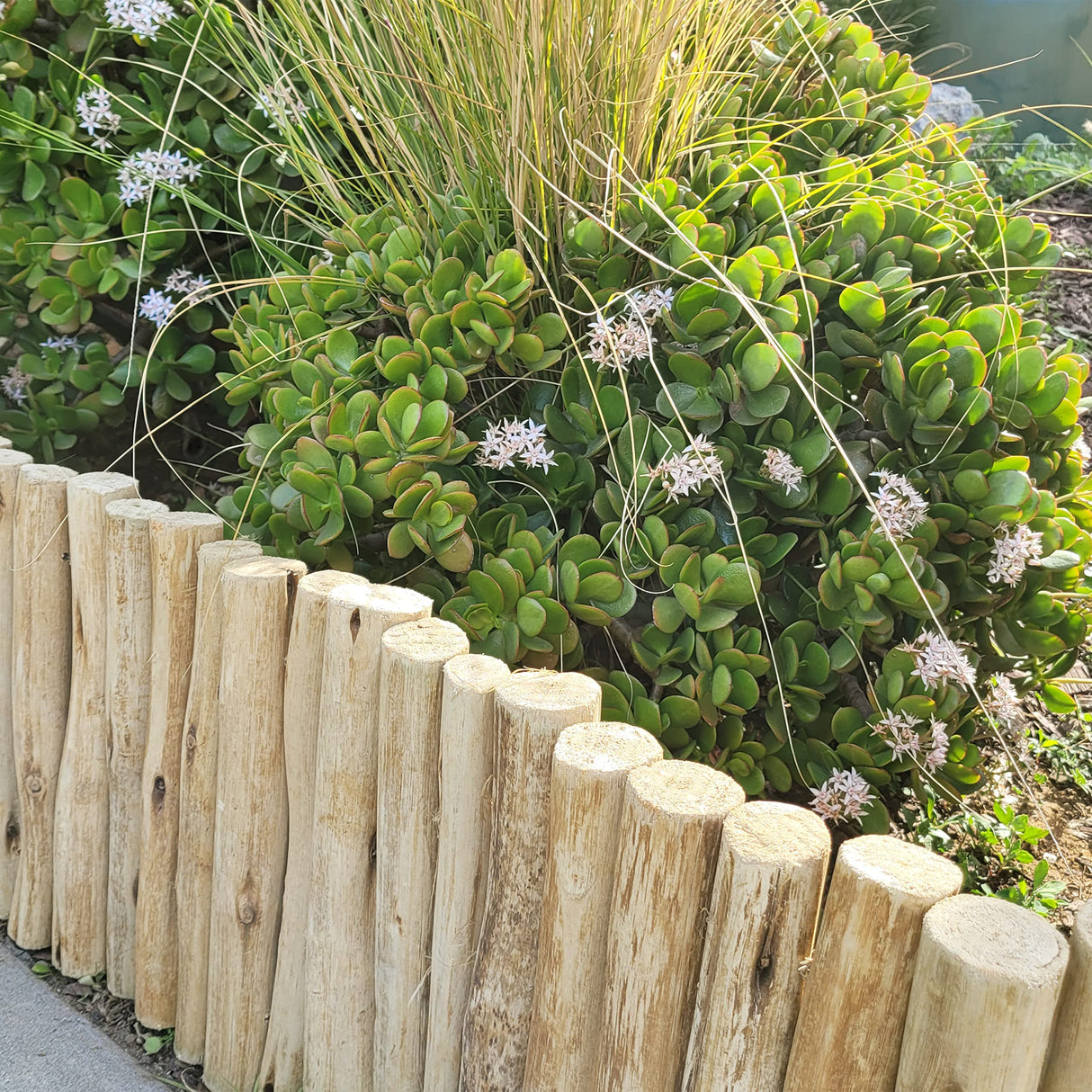 Backyard X-Scapes Natural Eucalyptus Wood Solid Log for Garden Border Edging Landscaping Borders Lawn 72 in L x 12 in H x 1.25 in D Backyard X-Scapes