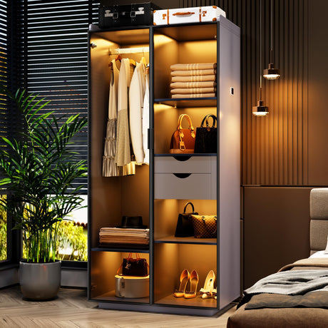 Wardrobe-Storage Cabinet With Human Sensor Design - Side Cabinet with LED Lighting - Organizer Armoire have 2 Drawers&6 Shelfs - Wardrobe With 2 Acrylic Door - Closet for Bedroom Furniture-Grey FREDEES