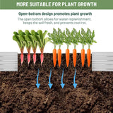 ZUNUDA Galvanized Raised Garden Bed,2 Pcs 10×3×1FT Metal Planting Box for Outdoor Vegetable, Fruit,Planter Gardening (Silver) ZUNUDA