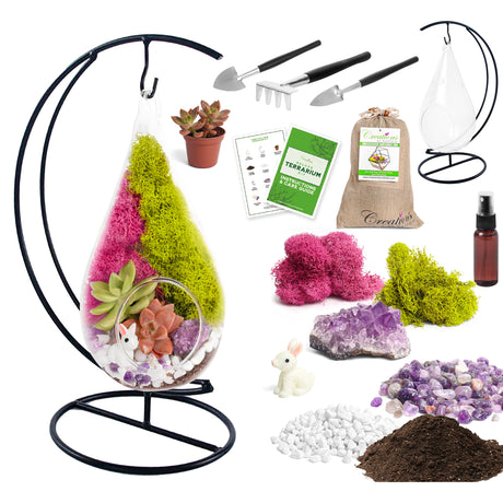 Creations by Nathalie - Plant Terrarium Kit W/Live Succulent (Fresh from Florida), Choose Your Glass DIY Terrarium Starter Kit for Adults, Metal Stand, Reindeer Moss, Crystal & Rocks, Tools, Figurine Creations by Nathalie