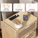 HHETOGOL Rattan Nightstand with Charging Station & 2 Rattan-Like Decor Drawers,Small End Table with Solid Wood Feet for Small Bedroom, Living Room, TTBZ02YE HHETOGOL