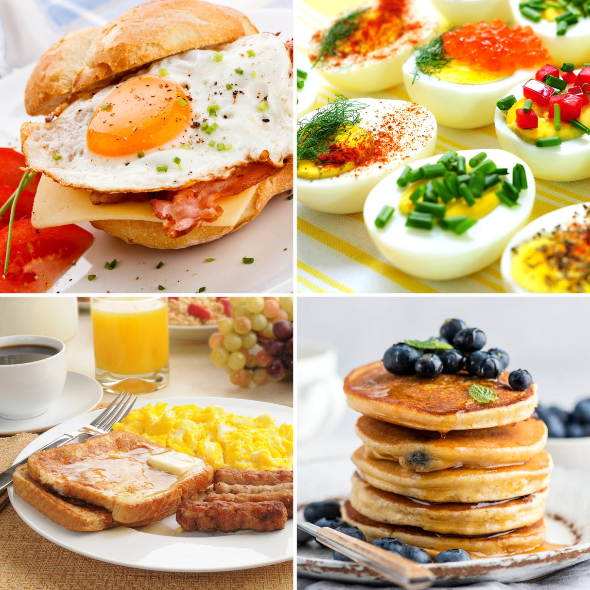 Nostalgia Retro 12-Cup Programmable Coffee Maker With LED Display, Automatic Shut-Off & Keep Warm, Pause-And-Serve Function, Aqua Nostalgia