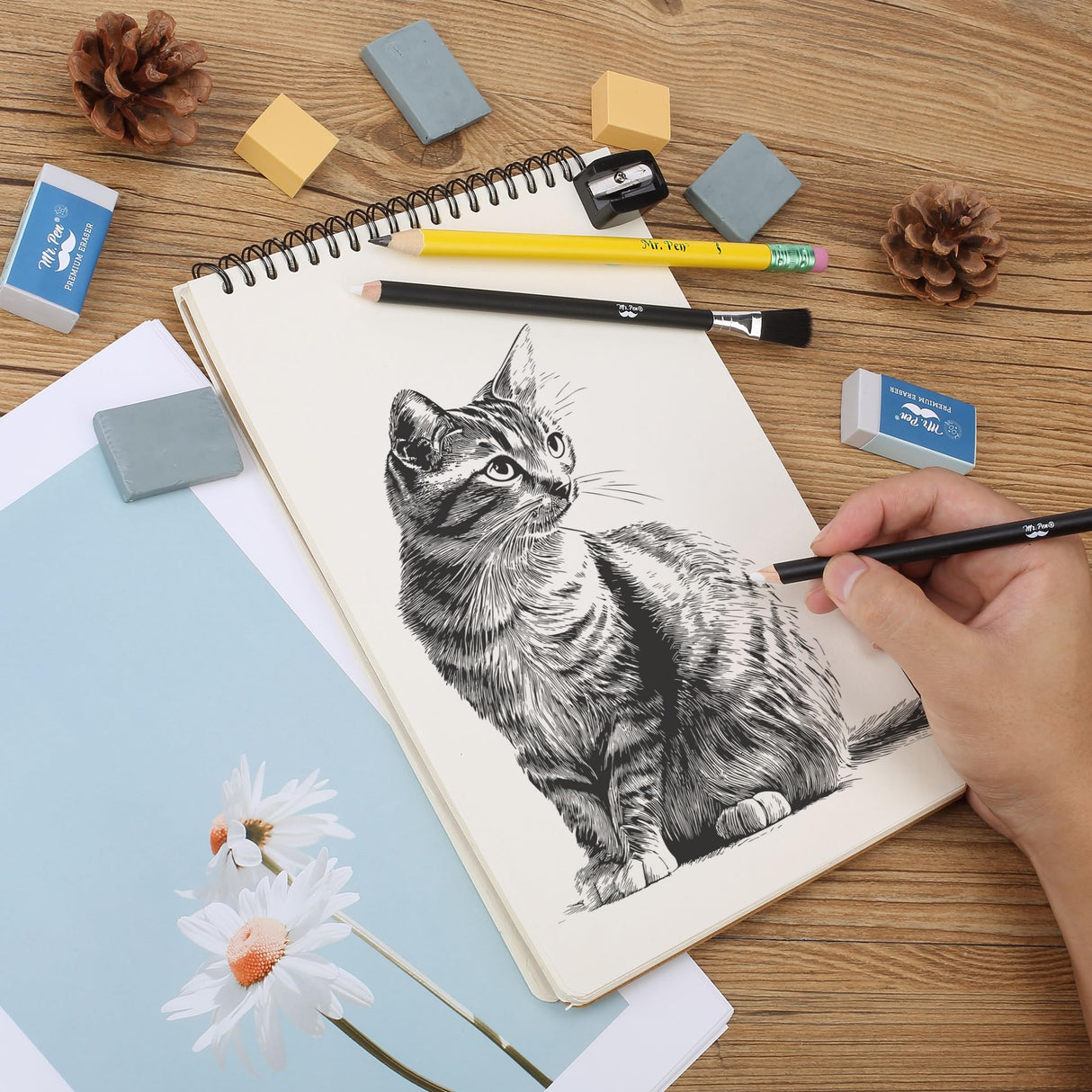 Mr. Pen Art Eraser Set - 12 Pcs, Kneaded & Gum Erasers for Artists Mr. Pen