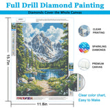 LELEMON Diamond Art Kits for Adults,Diamond Painting Kits for Adults,Rocky Mountain National Park 5d Diamond Painting Kit with Diamond Art Accessories for Home Wall Decor 12 x 16inch LELEMON