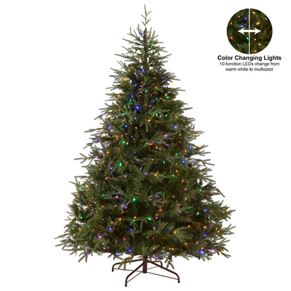 National Tree Company Pre-Lit 'Feel Real' Artificial Full Christmas Tree, Green, Frasier Grande, Dual Color LED Lights, Includes Stand, 7.5 Feet