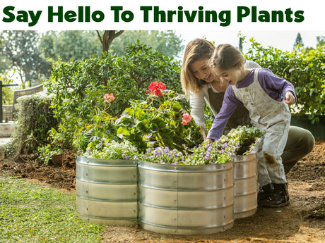Galvanized Raised Garden Beds Outdoor // 3×3×1 ft Planter Raised Beds for Gardening, Vegetables, Flowers // Large Metal Garden Box (Silver) // Patented Tool-Free Design Plant & Plot