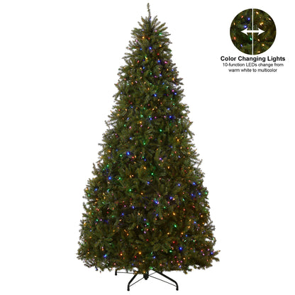 National Tree Company Pre-Lit Artificial Full Christmas Tree, Green, Dunhill Fir, Dual Color LED Lights, Includes Stand, 10 Ft