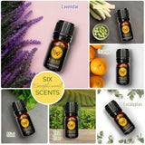 Wallace & Williamson DIY Soap Making Kit with Melt & Pour Base, Cutting Box, Molds, Fragrances, Flowers Silicone Molds - for Adults & Kids Craft Wallace & Williamson