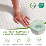 EGOHOME Full Size Memory Foam Mattress, 8 Inch Bed Mattress in A Box with Green Tea Cooling Gel, Pressure Relief Mattress with Medium Firm Support, CertiPUR-US Certified, 75''L x 54''W White EGOHOME