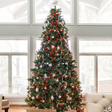 Northlight Full Colorado Spruce Artificial Christmas Tree - 15' - Unlit Northlight