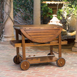 Christopher Knight Home Tillary Tiller Outdoor Acacia Wood Bar Cart Aluminum Accents, Dark Oak/Shiny Powder Coating Christopher Knight Home