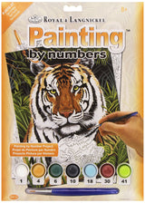 Royal Brush Junior Small Paint by Number Kit 8-3/4"X11-3/4-Tiger in Hiding Royal & Langnickel