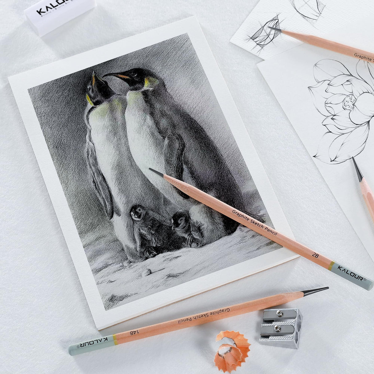 KALOUR 18-Piece Professional Sketch Pencil Set - Includes 5H to 14B Pencils, Vinyl Eraser, Kneaded Eraser,Sharpener and Paper Blending Stump - Ideal for Artists and Beginners KALOUR