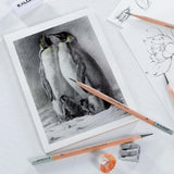 KALOUR 18-Piece Professional Sketch Pencil Set - Includes 5H to 14B Pencils, Vinyl Eraser, Kneaded Eraser,Sharpener and Paper Blending Stump - Ideal for Artists and Beginners KALOUR