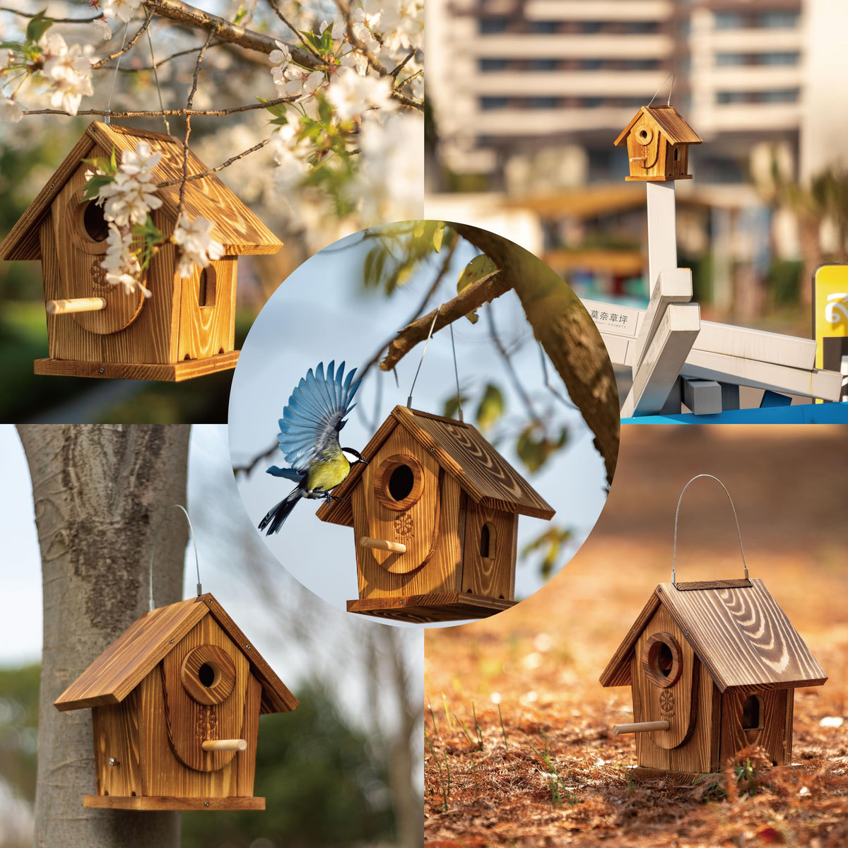 Bird Houses for Outside,DIY Kit for Adults & Kids,Solid Mortise & Tenon Structure,Carbonized for Durability and Aesthetic Appeal,Easy to Clearance,Paint Kit Included Koangle