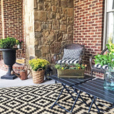 SAND MINE Waterproof Outdoor Rug 5x8 ft, Plastic Reversible Rug, Modern Area Rug, Large Floor Mat for Outdoors, RV, Patio, Backyard, Deck, Picnic, Beach, Camping, Black & Beige SAND MINE