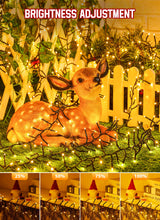 Minetom 100Ft 2000 LED Cluster Lights Christmas Tree Lights Outdoor Christmas Firecrackers String Lights, 12 Modes Timer Remote Waterproof Plug in Twinkle Fairy Lights for Xmas Tree Garland Party Minetom