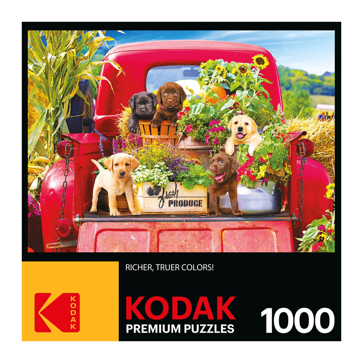 RoseArt - Kodak Premium - Stowaways - 1000 Piece Jigsaw Puzzle for Adults RoseArt