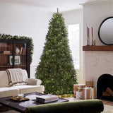 National Tree Company Pre-Lit Artificial Full Christmas Tree, Green, Dunhill Fir, Dual Color LED Lights, Includes Stand, 10 Ft National Tree Company