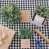 Winlyn Set of 3 Small Potted Plants Artificial Eucalyptus in Wood Box Faux Eucalyptus in Pots Desk Plants Greenery Centerpiece Table Decorations for Farmhouse Kitchen Windowsill Shelf Entryway Decor Winlyn