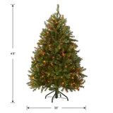 National Tree Dunhill Fir Tree With Multicolor Lights , 4.5 Feet National Tree Company