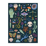 Galison Occult and Curious – 1000 Piece Glow in The Dark Jigsaw Puzzle Featuring an Eerie Collection of Creepy and Spooky Objects Galison