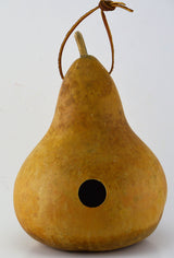 Gourd Birdhouse, Unfinished, Craft Ready, Box of 3 Gourdaments