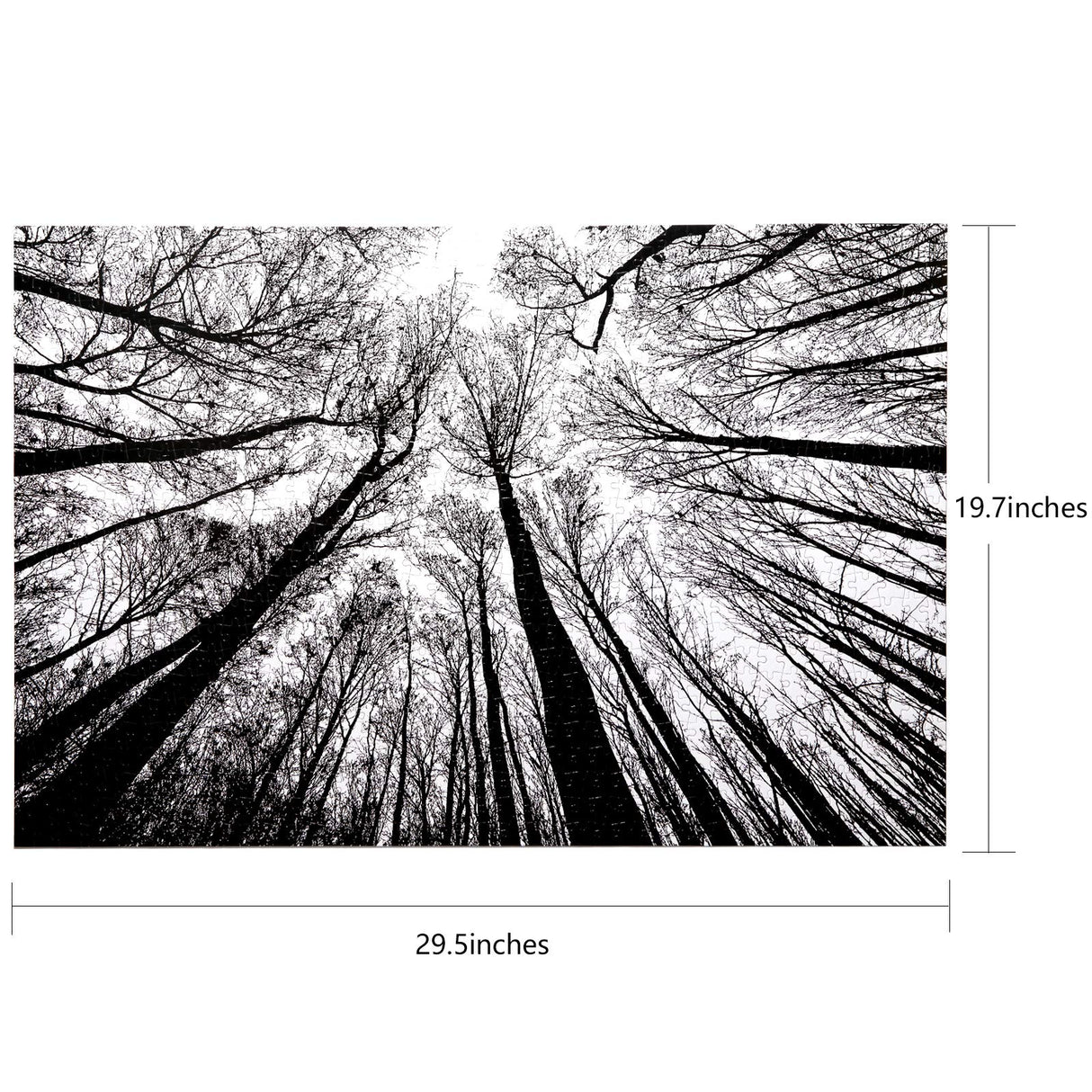 Bgraamiens Puzzle-Forest in Black and White-1000 Pieces Creative Black and White Nature Scenery Hard Puzzle Blue Board Jigsaw Puzzle Bgraamiens