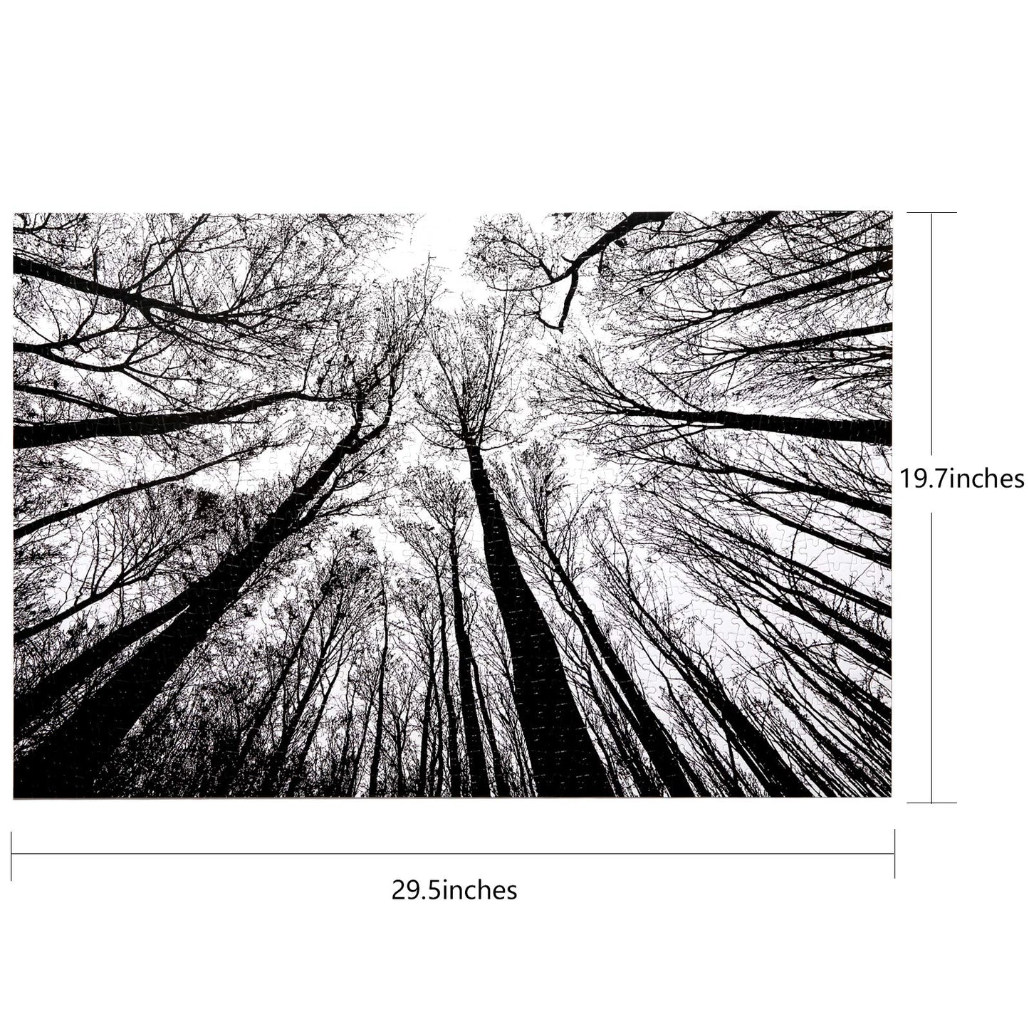 Bgraamiens Puzzle-Forest in Black and White-1000 Pieces Creative Black and White Nature Scenery Hard Puzzle Blue Board Jigsaw Puzzle